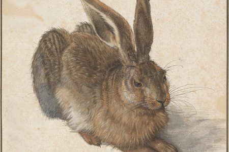 Lebre de Dürer